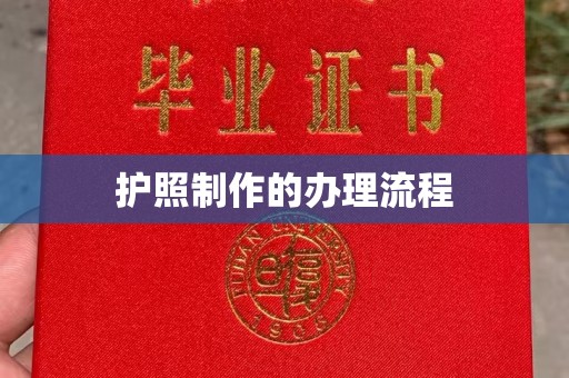 盐边护照制作的办理流程