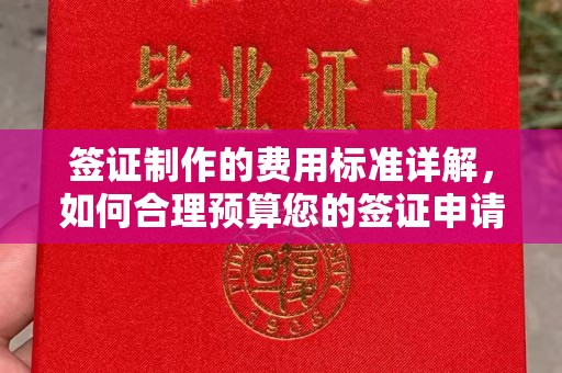 金山屯签证制作的费用标准详解，如何合理预算您的签证申请成本